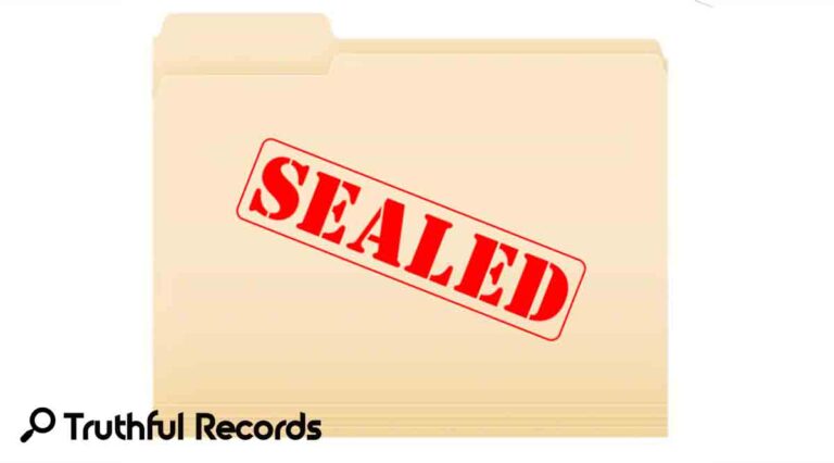Can Background Checks See Sealed Records?